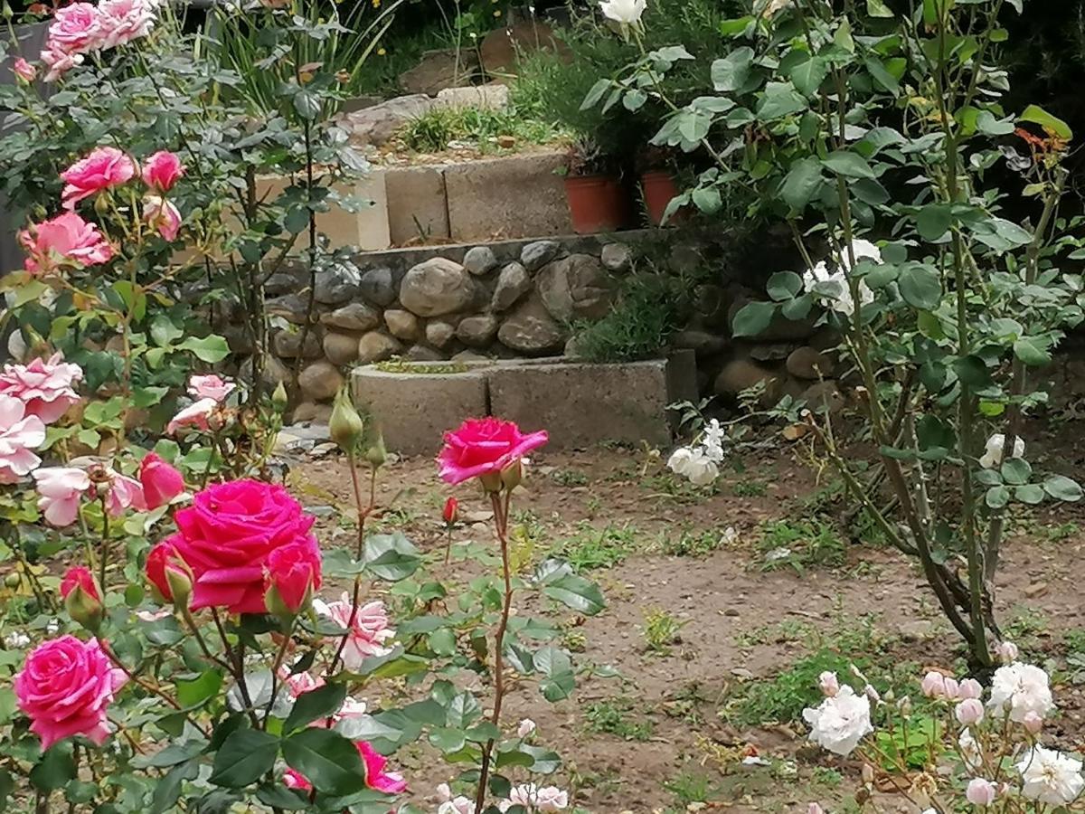 Aanhuizen Guest House Свелендам Екстериор снимка